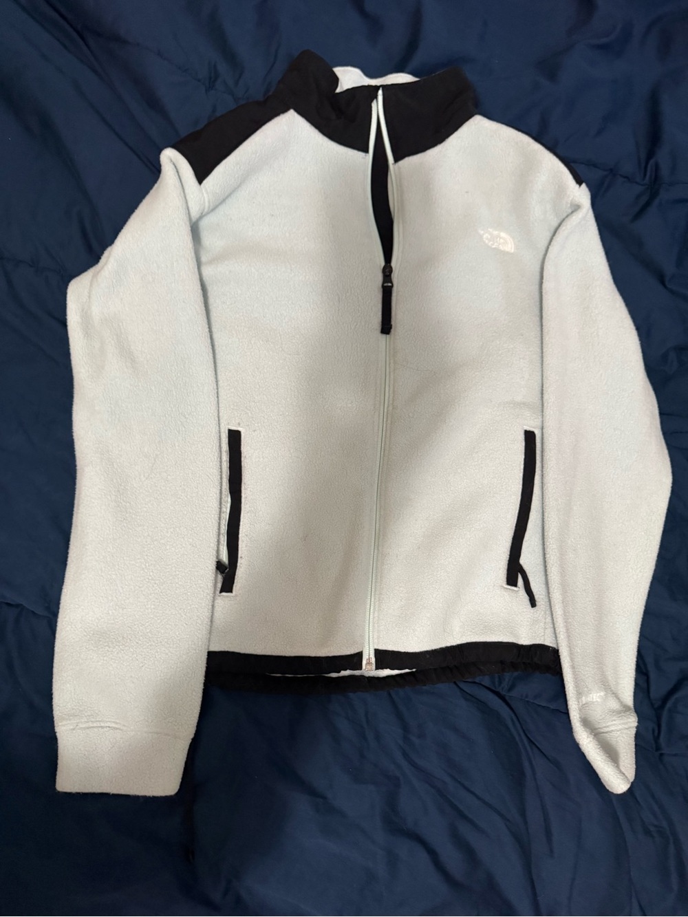 The North Face Pale Mint Fleece Pullover